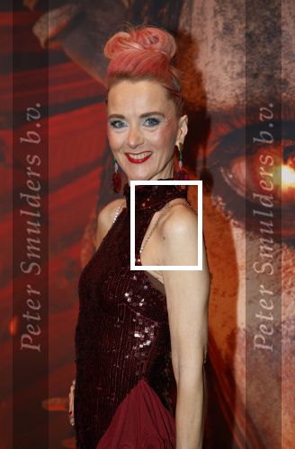 Hilversum 16 december 2025
Premiere Avatar in VUE in Hilversum. Jelstyle Mariel. Mariel Bogaerts