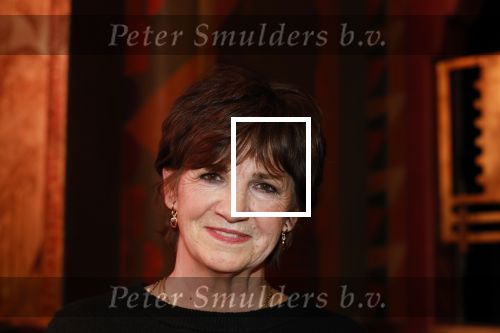 Amsterdam 2 december 2025
Presenatie Grannies van Amsterdam seizoen 2 . Martine v Os doet de presentatie. 
De Grannies bestaan uit Joanita Mug Tonneke en Lorraine . Ook hun kleinkinderen waren aanwezig  in Tuschinski