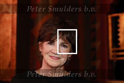 Amsterdam 2 december 2025
Presenatie Grannies van Amsterdam seizoen 2 . Martine v Os doet de presentatie. 
De Grannies bestaan uit Joanita Mug Tonneke en Lorraine . Ook hun kleinkinderen waren aanwezig  in Tuschinski