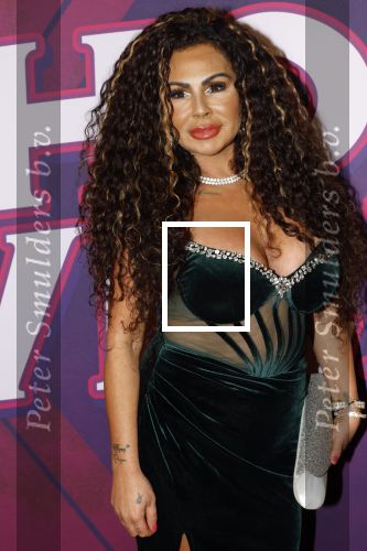 Amsterdam 15 december 2025
Presentatie cast House Villains bij het Tobacco theater . Aanwezig Soundos Ayleem Bella Djamilla Celina King Faisel Malgasio Terror Jaap Ruud Benard Rene Spoelstra en Michella Kox . Michella Kox kwam met haar vriend