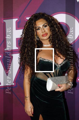 Amsterdam 15 december 2025
Presentatie cast House Villains bij het Tobacco theater . Aanwezig Soundos Ayleem Bella Djamilla Celina King Faisel Malgasio Terror Jaap Ruud Benard Rene Spoelstra en Michella Kox . Michella Kox kwam met haar vriend