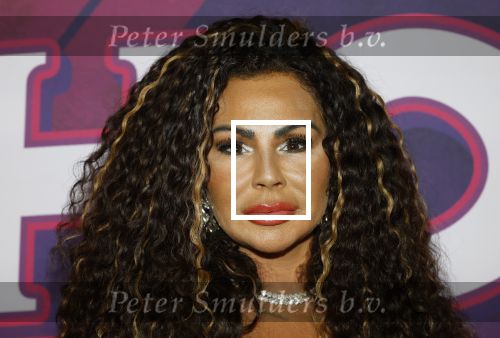 Amsterdam 15 december 2025
Presentatie cast House Villains bij het Tobacco theater . Aanwezig Soundos Ayleem Bella Djamilla Celina King Faisel Malgasio Terror Jaap Ruud Benard Rene Spoelstra en Michella Kox . Michella Kox kwam met haar vriend