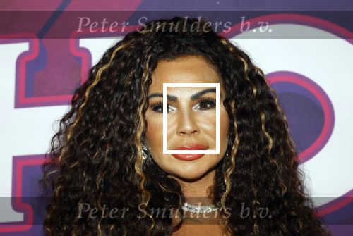 Amsterdam 15 december 2025
Presentatie cast House Villains bij het Tobacco theater . Aanwezig Soundos Ayleem Bella Djamilla Celina King Faisel Malgasio Terror Jaap Ruud Benard Rene Spoelstra en Michella Kox . Michella Kox kwam met haar vriend