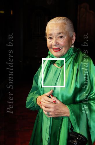 Amsterdam 2 december 2025
Presenatie Grannies van Amsterdam seizoen 2 . Martine v Os doet de presentatie. 
De Grannies bestaan uit Joanita Mug Tonneke en Lorraine . Ook hun kleinkinderen waren aanwezig  in Tuschinski