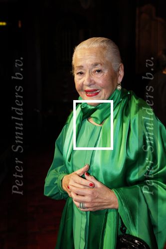 Amsterdam 2 december 2025
Presenatie Grannies van Amsterdam seizoen 2 . Martine v Os doet de presentatie. 
De Grannies bestaan uit Joanita Mug Tonneke en Lorraine . Ook hun kleinkinderen waren aanwezig  in Tuschinski