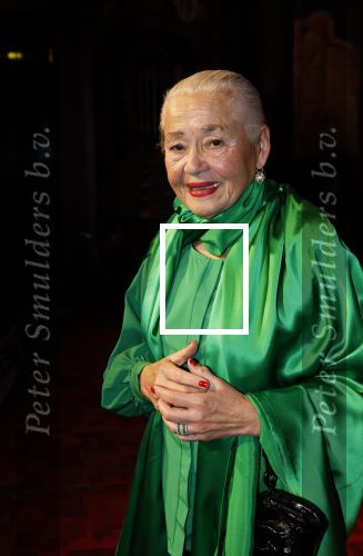 Amsterdam 2 december 2025
Presenatie Grannies van Amsterdam seizoen 2 . Martine v Os doet de presentatie. 
De Grannies bestaan uit Joanita Mug Tonneke en Lorraine . Ook hun kleinkinderen waren aanwezig  in Tuschinski