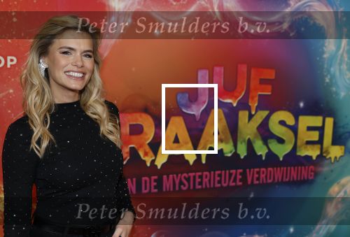 Amsterdam 7 december 2025
Premiere Juf Braaksel in Pathe Noord . Nicolette v Dam