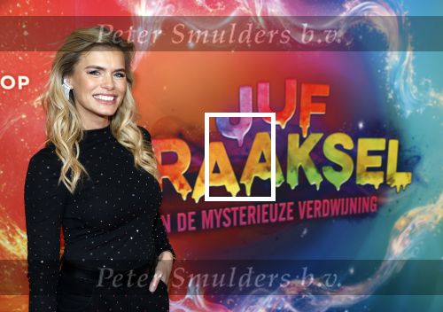 Amsterdam 7 december 2025
Premiere Juf Braaksel in Pathe Noord . Nicolette v Dam