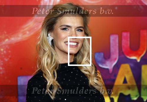 Amsterdam 7 december 2025
Premiere Juf Braaksel in Pathe Noord . Nicolette v Dam