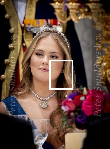 Amsterdam 11 december 2025
 Koning Willem-Alexander en koningin Maxima verwelkomen de president van Finland Alexander Stubb met zijn echtgenote Suzanne Innes-Stubb op de Dam op de eerste dag van een tweedaags staatsbezoek aan Nederland. s Avonds was het staatsbanket waar ook Prinses Amlia aanwezig was.