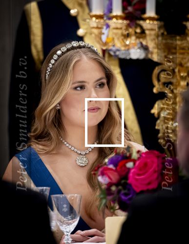 Amsterdam 11 december 2025
 Koning Willem-Alexander en koningin Maxima verwelkomen de president van Finland Alexander Stubb met zijn echtgenote Suzanne Innes-Stubb op de Dam op de eerste dag van een tweedaags staatsbezoek aan Nederland. s Avonds was het staatsbanket waar ook Prinses Amlia aanwezig was.