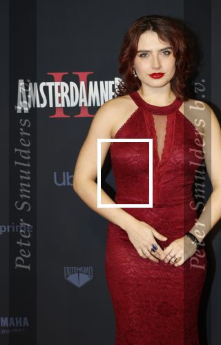 Amsterdam 1 december 2025
Premiere Amsterdamned II in Tuschinski . De hoofdrollen worden gespeeld door Huub Stapel tatum Dagelet en Holly Brood . Sophie Bouquet