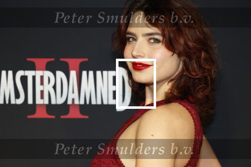 Amsterdam 1 december 2025
Premiere Amsterdamned II in Tuschinski . De hoofdrollen worden gespeeld door Huub Stapel tatum Dagelet en Holly Brood . Sophie Bouquet