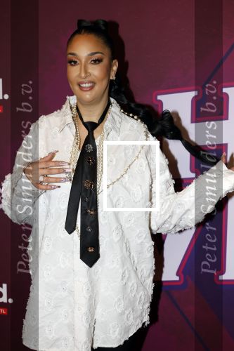 Amsterdam 15 december 2025
Presentatie cast House Villains bij het Tobacco theater . Aanwezig Soundos Ayleem Bella Djamilla Celina King Faisel Malgasio Terror Jaap Ruud Benard Rene Spoelstra en Michella Kox .