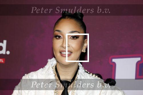 Amsterdam 15 december 2025
Presentatie cast House Villains bij het Tobacco theater . Aanwezig Soundos Ayleem Bella Djamilla Celina King Faisel Malgasio Terror Jaap Ruud Benard Rene Spoelstra en Michella Kox .