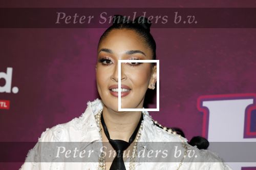 Amsterdam 15 december 2025
Presentatie cast House Villains bij het Tobacco theater . Aanwezig Soundos Ayleem Bella Djamilla Celina King Faisel Malgasio Terror Jaap Ruud Benard Rene Spoelstra en Michella Kox .