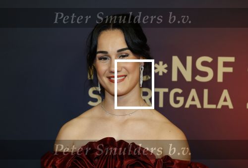 Papendal 17 december 2025
Sportgala waar oa de sportman en sportvrouw van het jaar gekozen worden .