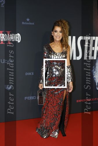Amsterdam 1 december 2025
Premiere Amsterdamned II in Tuschinski . De hoofdrollen worden gespeeld door Huub Stapel tatum Dagelet en Holly Brood .