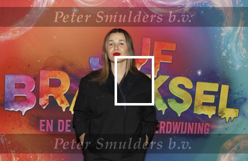 Amsterdam 7 december 2025
Premiere Juf Braaksel in Pathe Noord . Victoria Koblenko