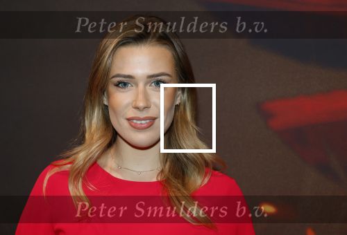Hilversum 16 december 2025
Premiere Avatar in VUE in Hilversum. Victoria Vermeer