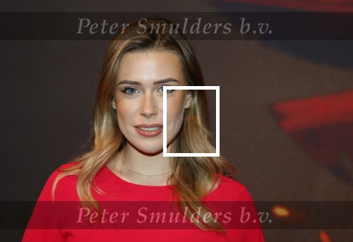 Hilversum 16 december 2025
Premiere Avatar in VUE in Hilversum. Victoria Vermeer