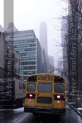 New York 22 januari 2000
School Bus
