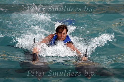 Curacao 6 januari 2006
 Gerard Joling met dolfijnen zwemmen  op curacao