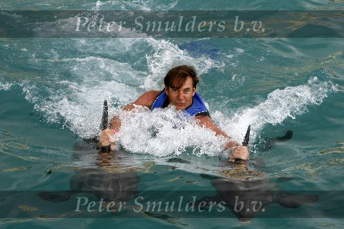 Curacao 6 januari 2006
Gerard Joling met dolfijnen zwemmen  op curacao