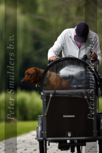 Amsterdam 10 juli 2007
Edwin de Roy v Zuydewijn met hond in bakfiets verbergt zich achter pet.bv