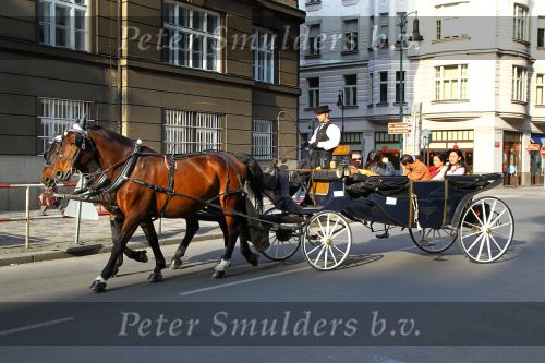 Praag, Golf Perstrip NVGJ naat Tjechie

Foto Peter Smulders BV