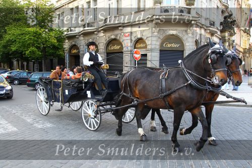 Praag, Golf Perstrip NVGJ naat Tjechie

Foto Peter Smulders BV