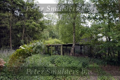 Wassenaar 29 mei 2010
Prinses Margarita haar man Tjalling ten Cate en prinses Irene hebben op de horsten bij Prins Willem Alexander en Maxima een huis met opstallen gekocht die ze gaan verbouwen om daar te wonen.
Peter Smulders bv