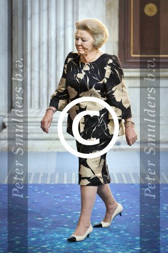 Amsterdam 18 juni 2013
Uitreiking zilveren anjers door prinses Beatrix in het paleis op de dam.
Peter Smulders bv