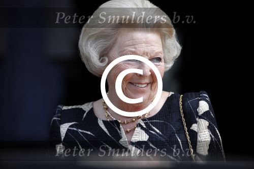 Amsterdam 18 juni 2013
Uitreiking zilveren anjers door prinses Beatrix in het paleis op de dam.
Peter Smulders bv