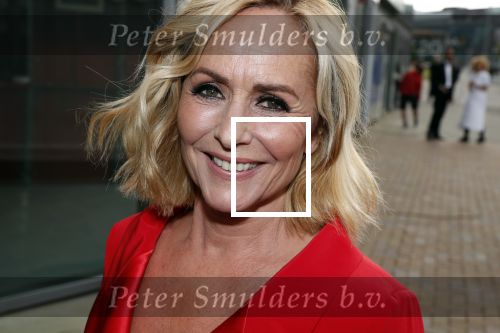 Amsterdam 16 juni 2018
Amsterdam diner in afas live (HMH). Angela Groothuizen