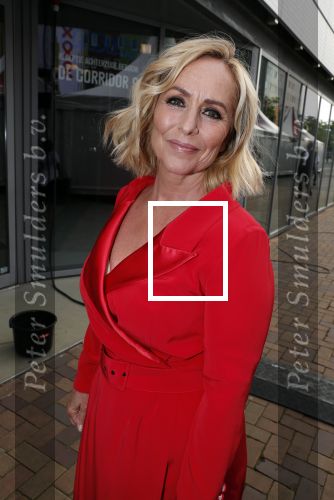 Amsterdam 16 juni 2018
Amsterdam diner in afas live (HMH). Angela Groothuizen
