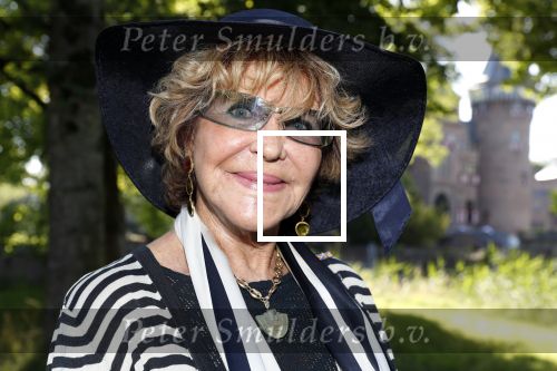 Haarzuilens 20 juni 2018
Haringparty op kasteel de Haar. Astris Engels met partner