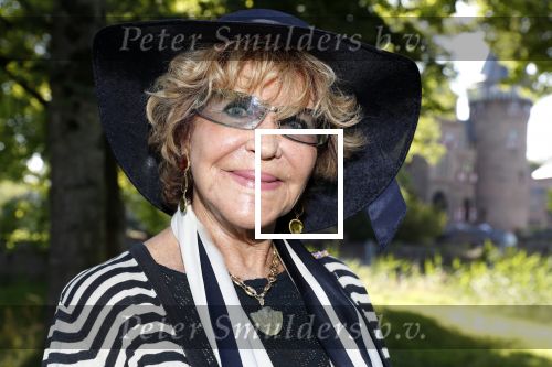 Haarzuilens 20 juni 2018
Haringparty op kasteel de Haar. Astris Engels met partner