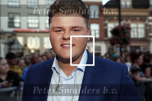 Amersfoort 20 juni 2018
Muziekfeest op het plein in Amersfoort. AVRO/TROS zenden het uit. Bob Offenberg