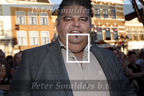 Amersfoort 20 juni 2018
Muziekfeest op het plein in Amersfoort. AVRO/TROS zenden het uit. Django Wagner