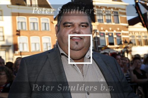 Amersfoort 20 juni 2018
Muziekfeest op het plein in Amersfoort. AVRO/TROS zenden het uit. Django Wagner