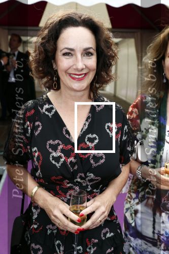 Amsterdam 16 juni 2018
Amsterdam diner in afas live (HMH). Femke Halsema