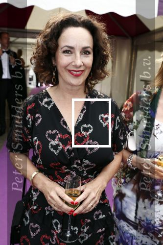 Amsterdam 16 juni 2018
Amsterdam diner in afas live (HMH). Femke Halsema