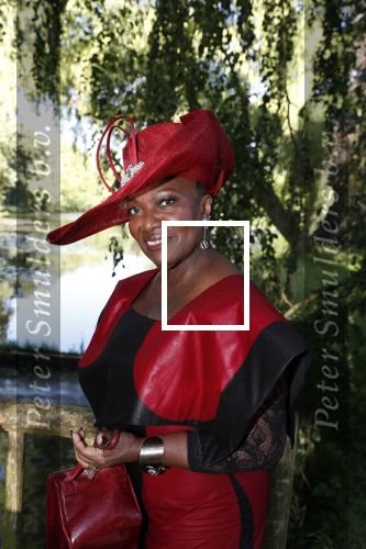 Haarzuilens 20 juni 2018
Haringparty op kasteel de Haar. Gerda Havertong met man
