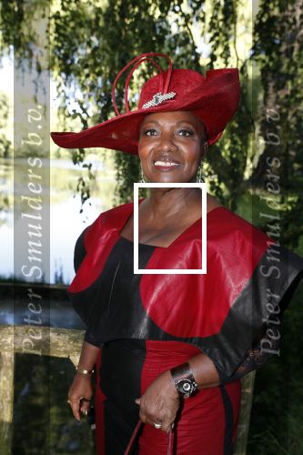 Haarzuilens 20 juni 2018
Haringparty op kasteel de Haar. Gerda Havertong met man