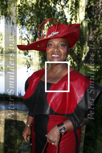 Haarzuilens 20 juni 2018
Haringparty op kasteel de Haar. Gerda Havertong met man