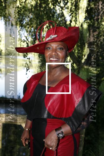 Haarzuilens 20 juni 2018
Haringparty op kasteel de Haar. Gerda Havertong met man