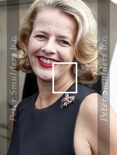 Amsterdam 16 juni 2018
Amsterdam diner in afas live (HMH). Prinses Mabel met haar zus .