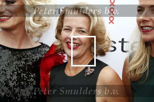 Amsterdam 16 juni 2018
Amsterdam diner in afas live (HMH). Prinses Mabel met haar zus .