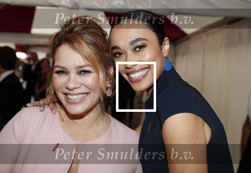 Amsterdam 16 juni 2018
Amsterdam diner in afas live (HMH). Antje en Romy Monteiro